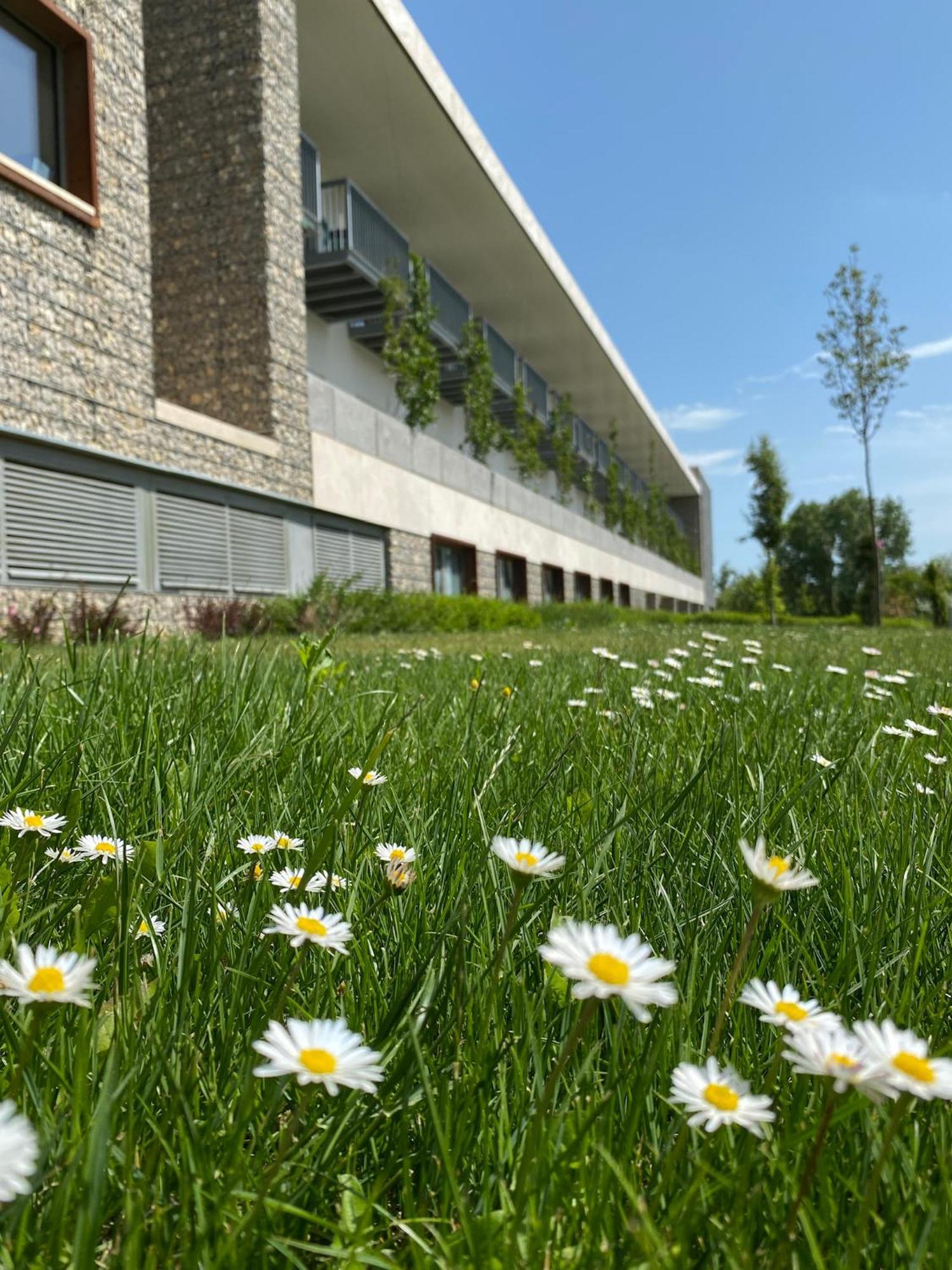 Akademia Hotel Balatonfured Luaran gambar